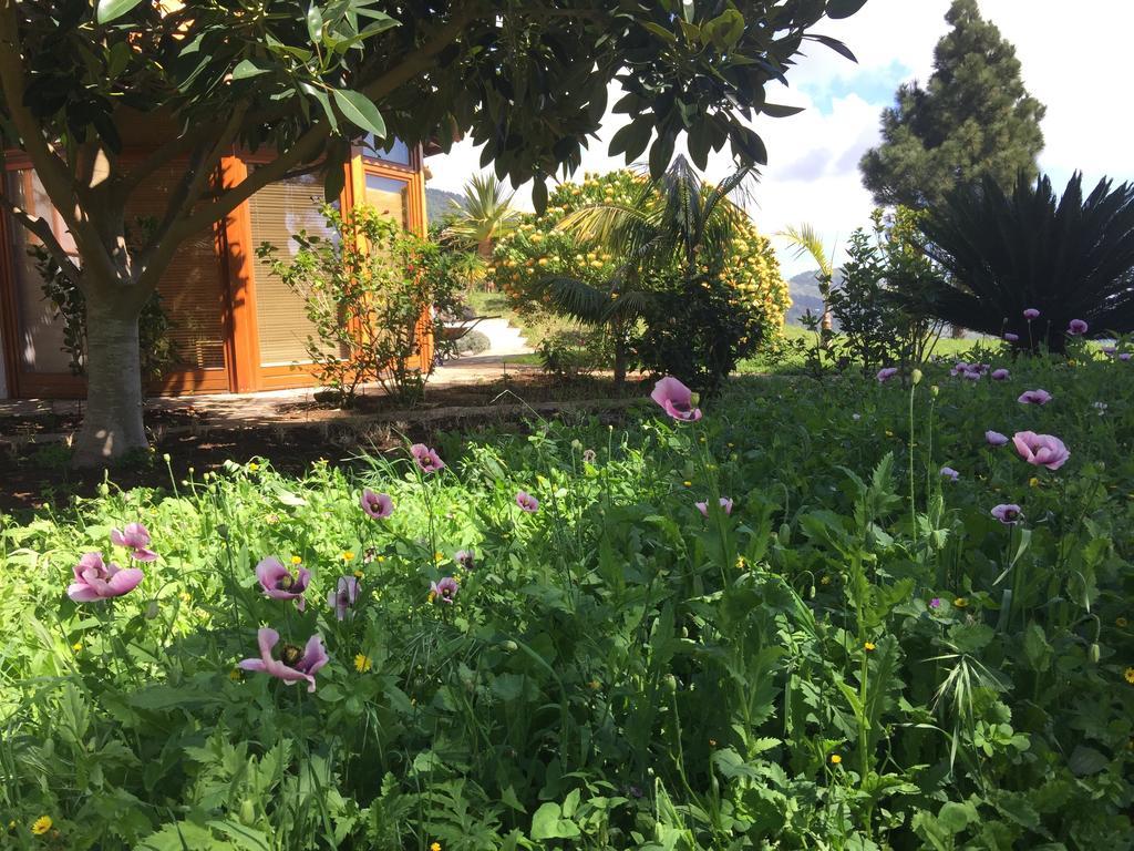 Finca Madrugada Santa Cruz de la Palma  Exterior foto